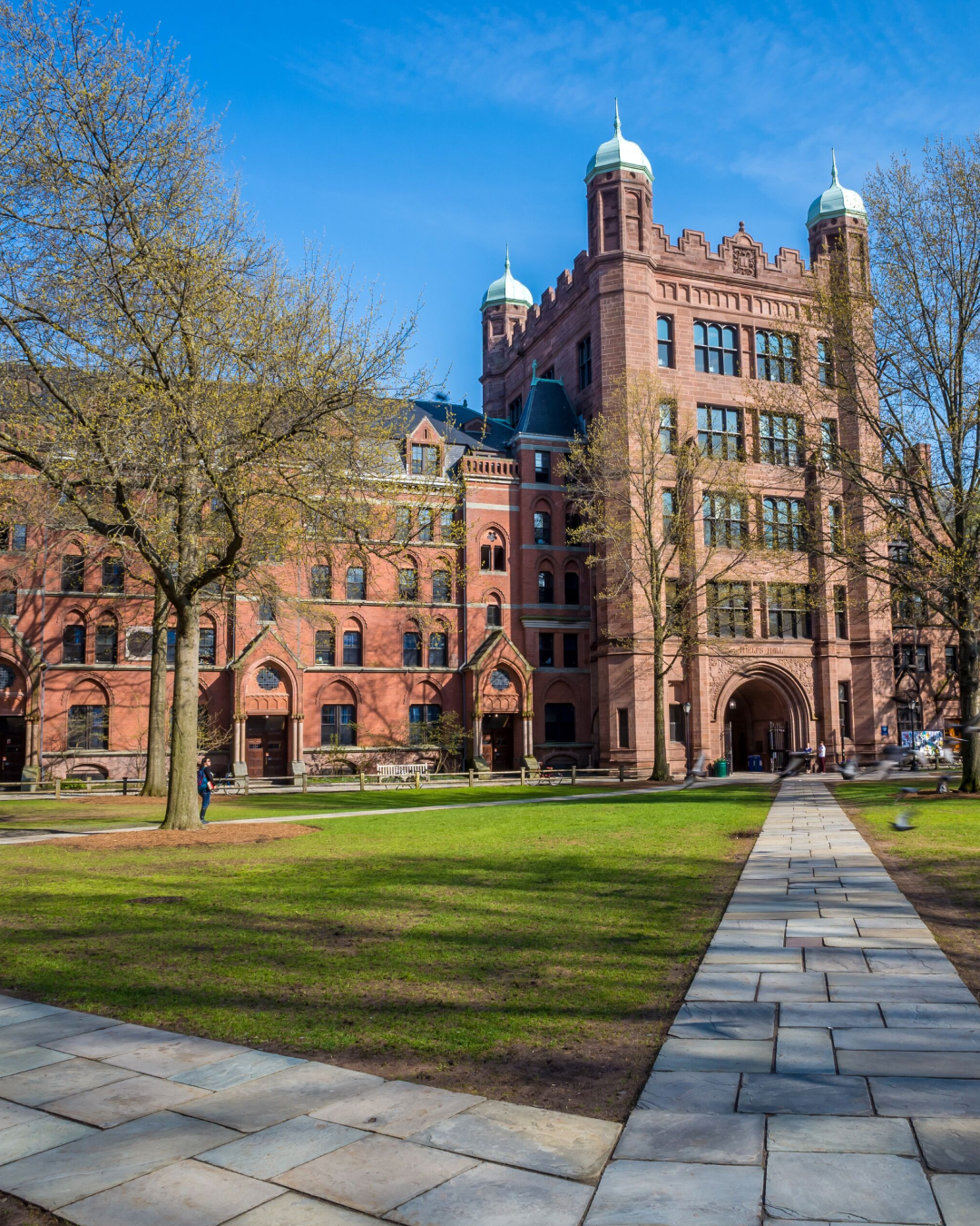 Yale University campus, where the btt discovery was made